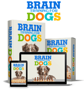 dog training
