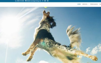 Free Doggie Tools 3 Crown Dog Training