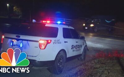 Dog Attack On Amazon Driver