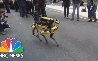 Crime-fighting robot dog joins NYPD