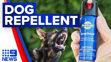 Demand for dog repellent sprays on the rise in WA | 9 News Australia