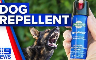 Surging Demand for Dog Repellent Sprays in Western Australia” – A Report by 9 News Australia