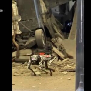 Digidog, the new police robot dog, deployed to assess garage collapse damage