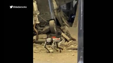 Digidog, the new police robot dog, deployed to assess garage collapse damage