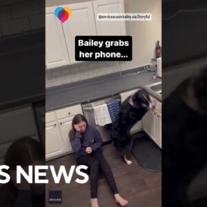 Dog jumps on counter and grabs phone to save owner experiencing medical episode #shorts