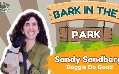 Meet Sandy Sandberg and Her Service Dog from Doggie Do Good: Dog Mom News LIVE! – EP. 4