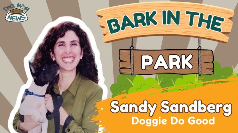 Sandy Sandberg with Doggie Do Good | Dog Mom News LIVE! - EP. 4