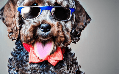 Free Doggie Tools 6 The Benefits And Challenges Of Adopting A Senior Dog
