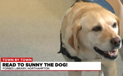 Free Doggie Tools 3 Up Close: Liberty Street Paving, Heartwarming Story of ‘Sunny the Dog’, and Student Receives a New Hyundai