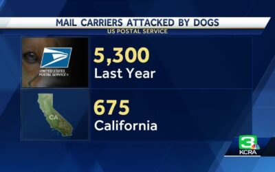 Free Doggie Tools 1 USPS Dog Bite Incidents: Understanding the Risks and How to Stay Safe