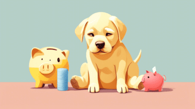 A yellow labrador puppy with a bandage on its belly looking sad next to a piggy bank with a bandaid and a sad face.