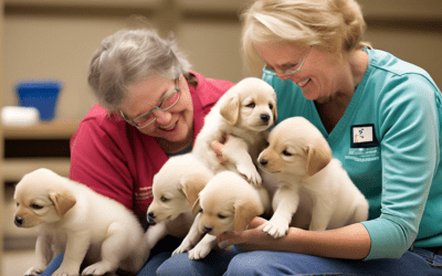 Volunteers needed in NW Ohio to raise puppies for Ability Center