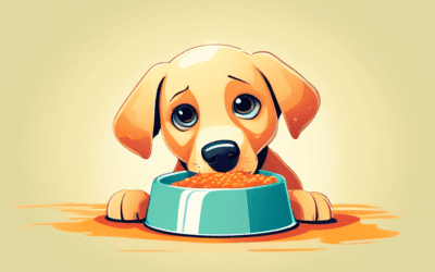Why Is My Lab Puppy Always Hungry: Feeding Insights